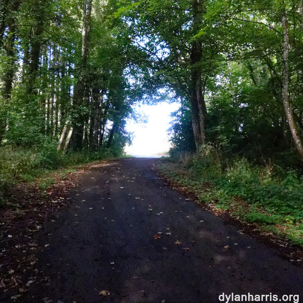 image: This is &lsquo;differdange 1&rsquo;.