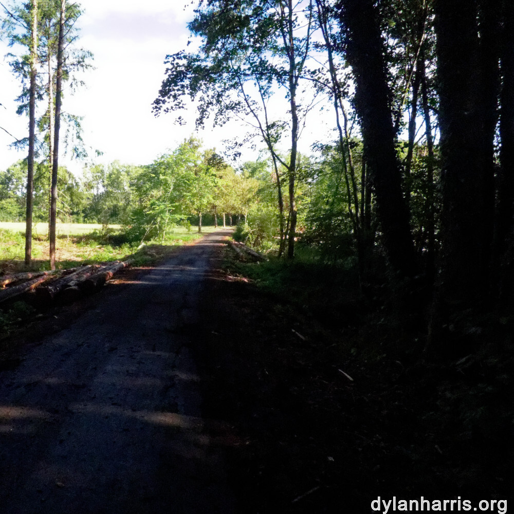 image: This is &lsquo;differdange 3&rsquo;.