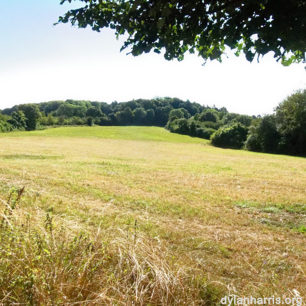 image: This is &lsquo;differdange 4&rsquo;.