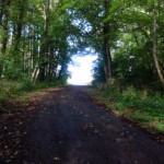 image: Image from the photoset &lsquo;differdange (iv)&rsquo;.