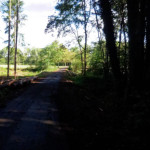 image: Image from the photoset &lsquo;differdange (iv)&rsquo;.