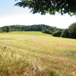 image: Image from the photoset &lsquo;differdange (iv)&rsquo;.