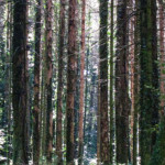 image: Image from the photoset &lsquo;differdange (iv)&rsquo;.