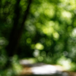 image: Image from the photoset &lsquo;terres rouges (xx)&rsquo;.