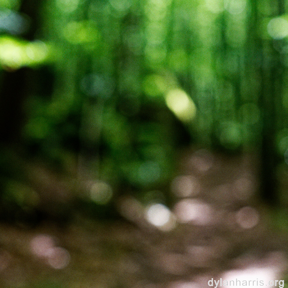 image: This is &lsquo;mullerthal (i) 1&rsquo;.