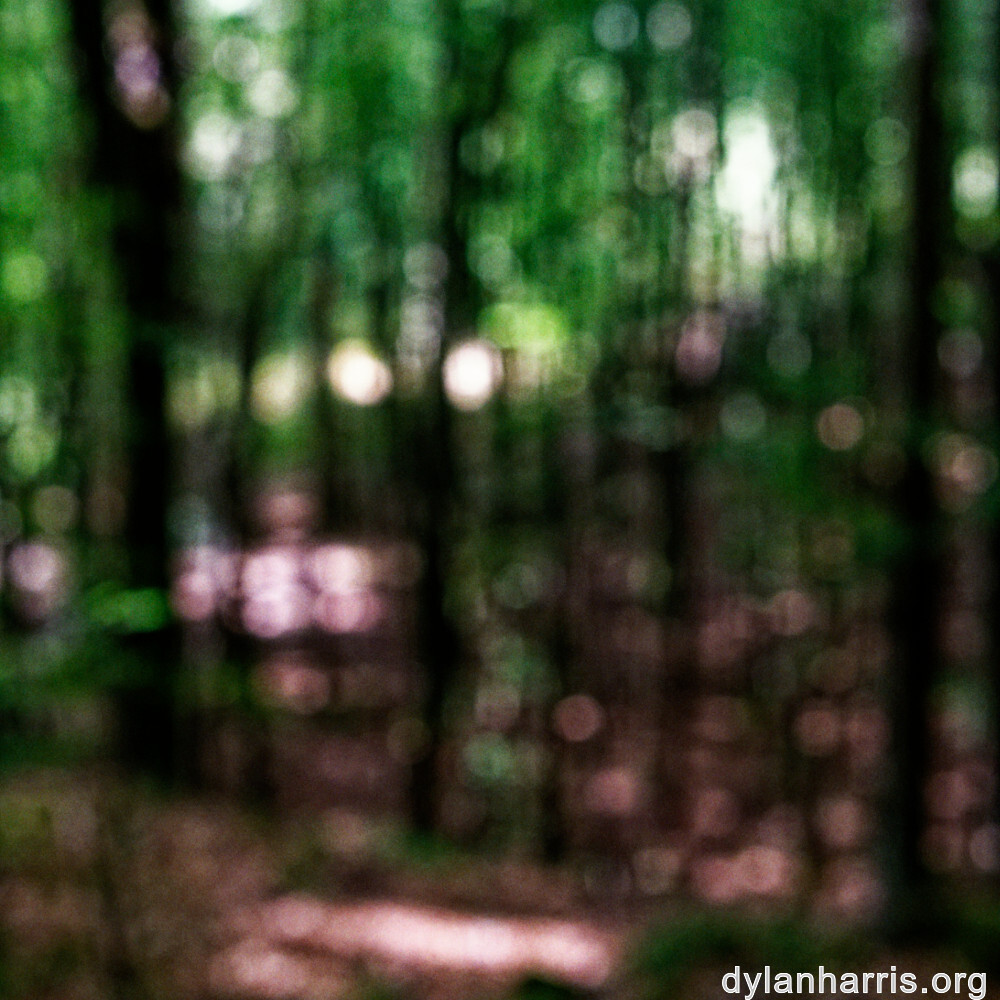 image: This is &lsquo;mullerthal (i) 2&rsquo;.