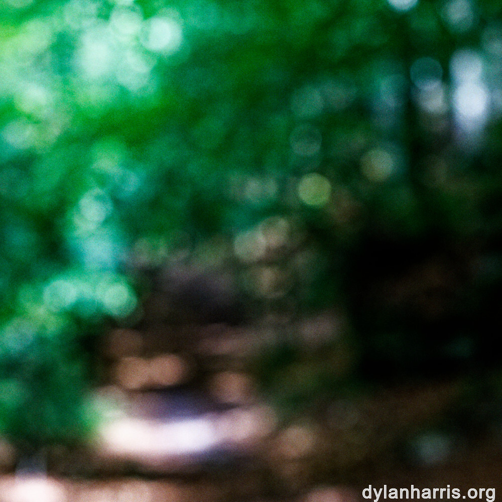 image: This is &lsquo;mullerthal (i) 3&rsquo;.