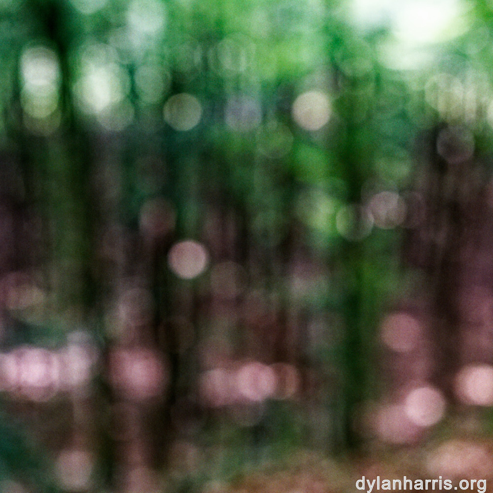 image: This is &lsquo;mullerthal (i) 4&rsquo;.