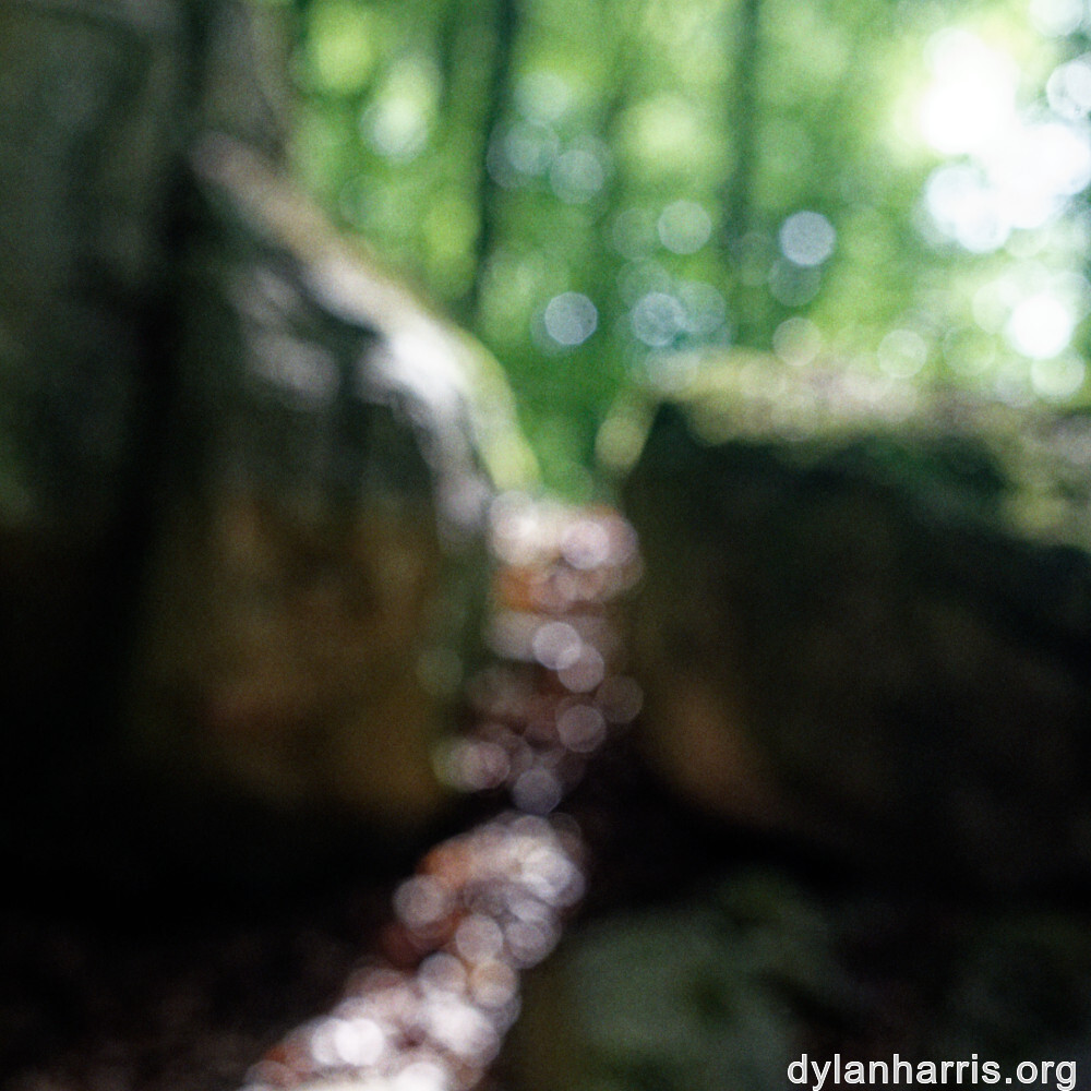 image: This is &lsquo;mullerthal (i) 5&rsquo;.