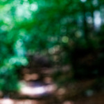 image: Image from the photoset &lsquo;mullerthal (i)&rsquo;.