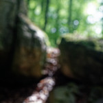 image: Image from the photoset &lsquo;mullerthal (i)&rsquo;.