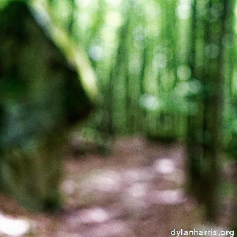 image: This is &lsquo;mullerthal (ii) 2&rsquo;.