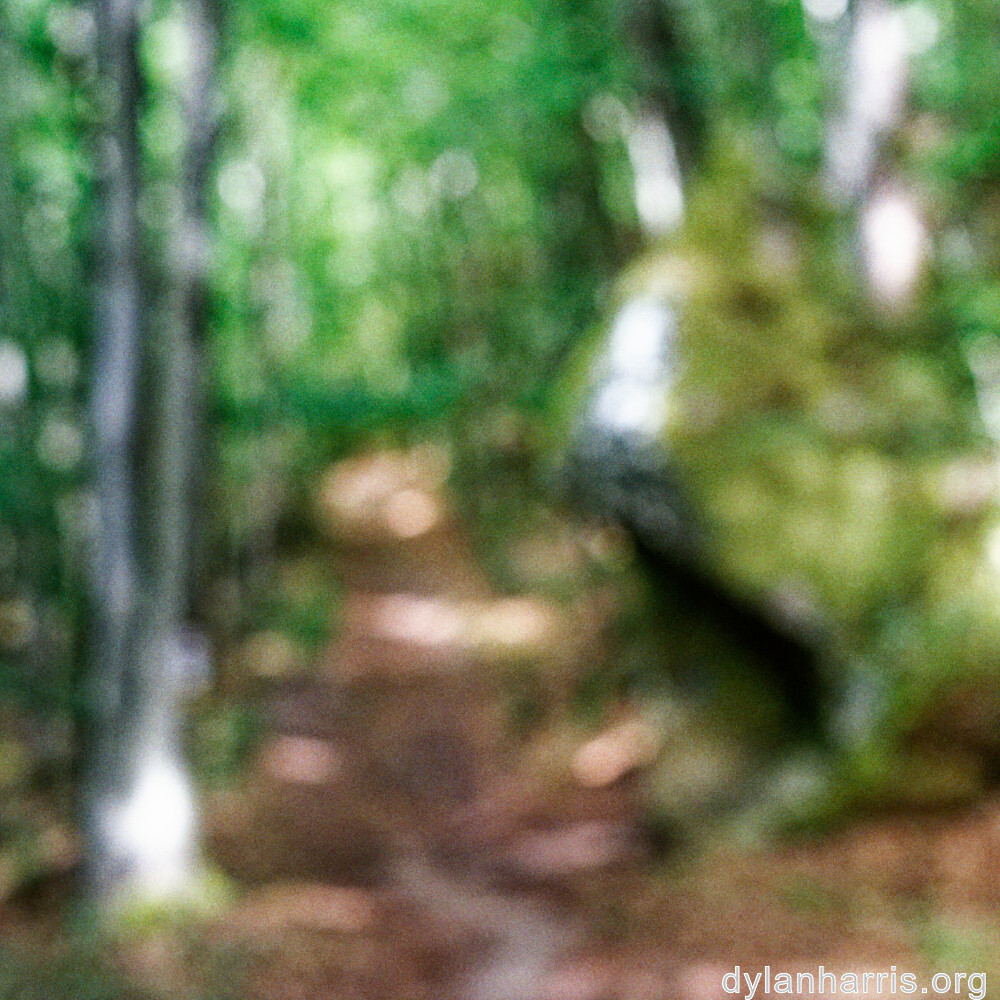 image: This is &lsquo;mullerthal (ii) 3&rsquo;.