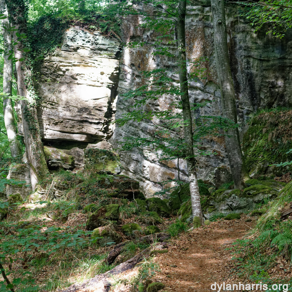 image: This is &lsquo;mullerthal (iii) 1&rsquo;.