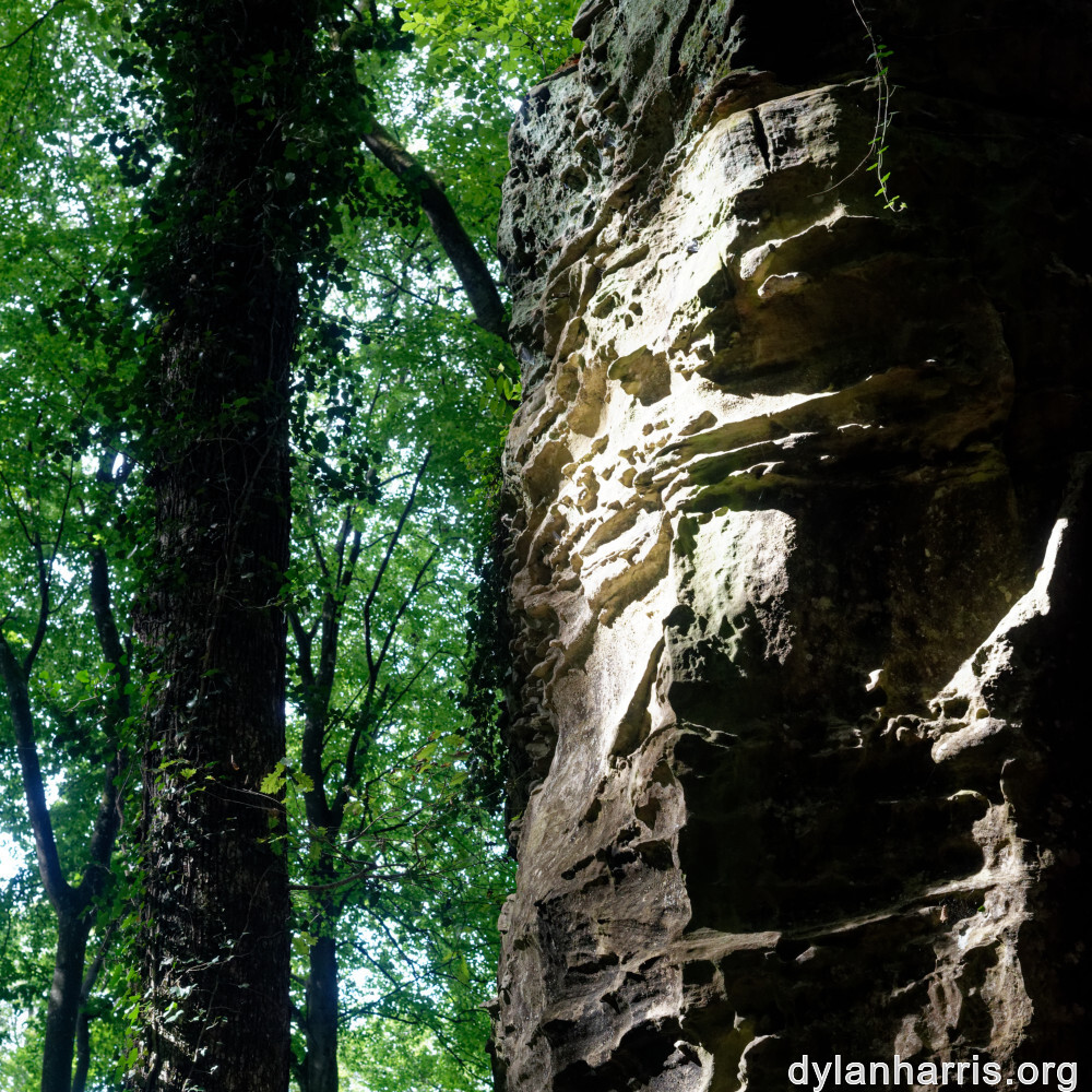 image: This is &lsquo;mullerthal (iii) 3&rsquo;.