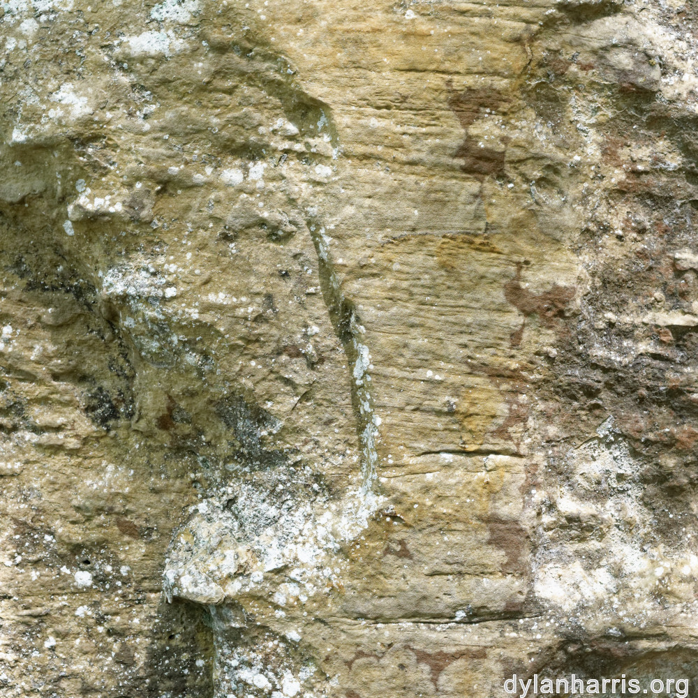 image: This is &lsquo;mullerthal (iii) 4&rsquo;.