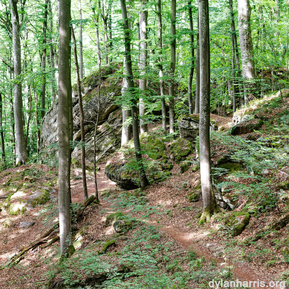 image: This is &lsquo;mullerthal (iii) 5&rsquo;.