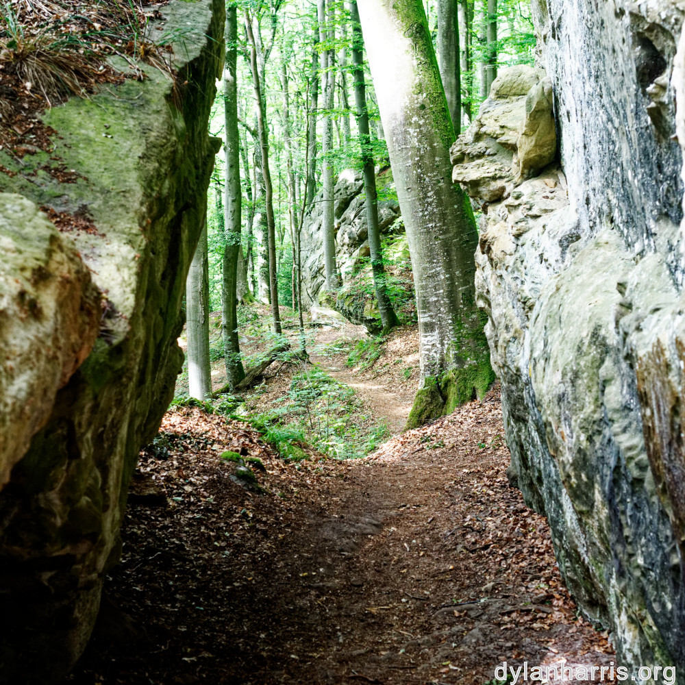 image: This is &lsquo;mullerthal (iii) 6&rsquo;.