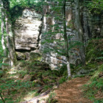 image: Image from the photoset &lsquo;mullerthal (iii)&rsquo;.