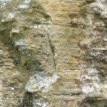 image: Image from the photoset &lsquo;mullerthal (iii)&rsquo;.