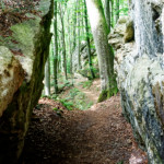 image: Image from the photoset &lsquo;mullerthal (iii)&rsquo;.