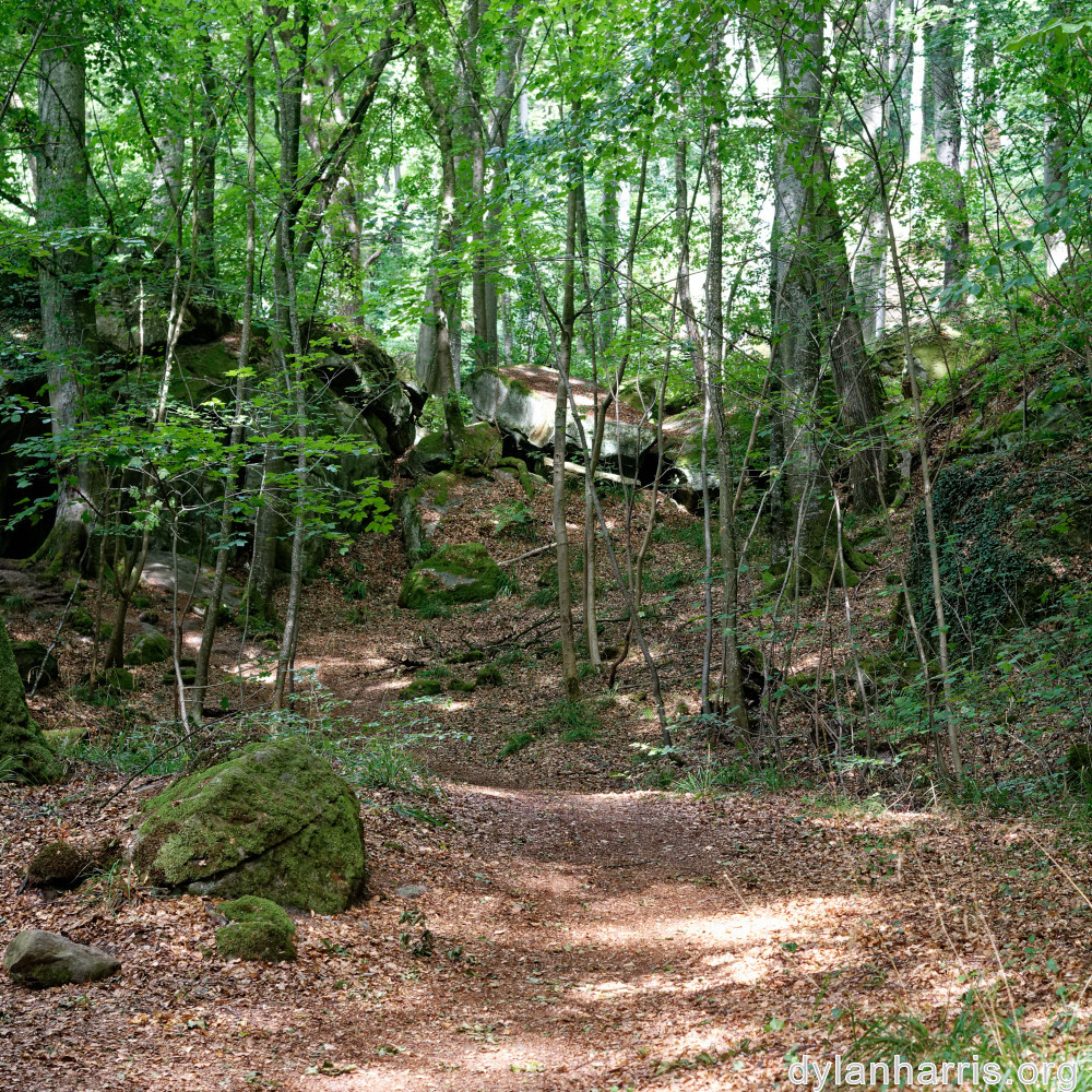 image: This is &lsquo;mullerthal (iv) 1&rsquo;.