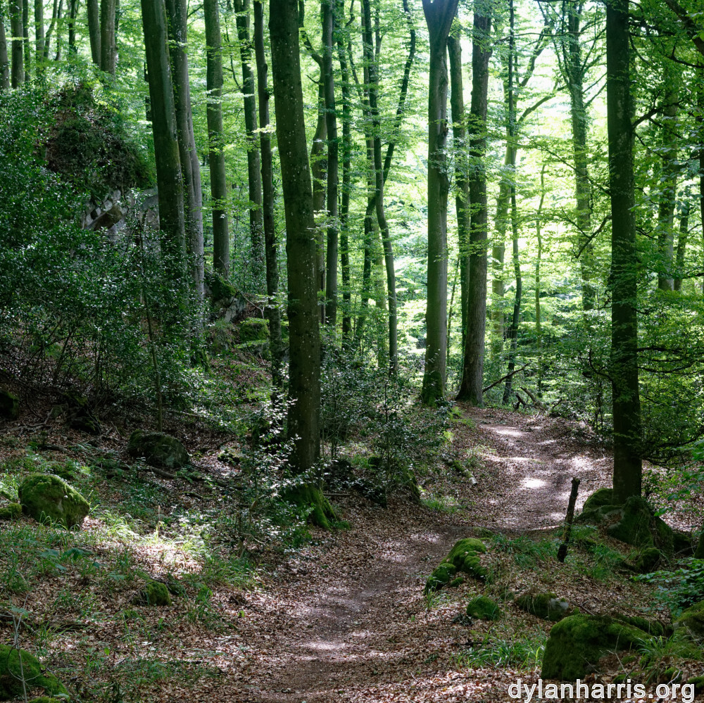 image: This is &lsquo;mullerthal (iv) 2&rsquo;.