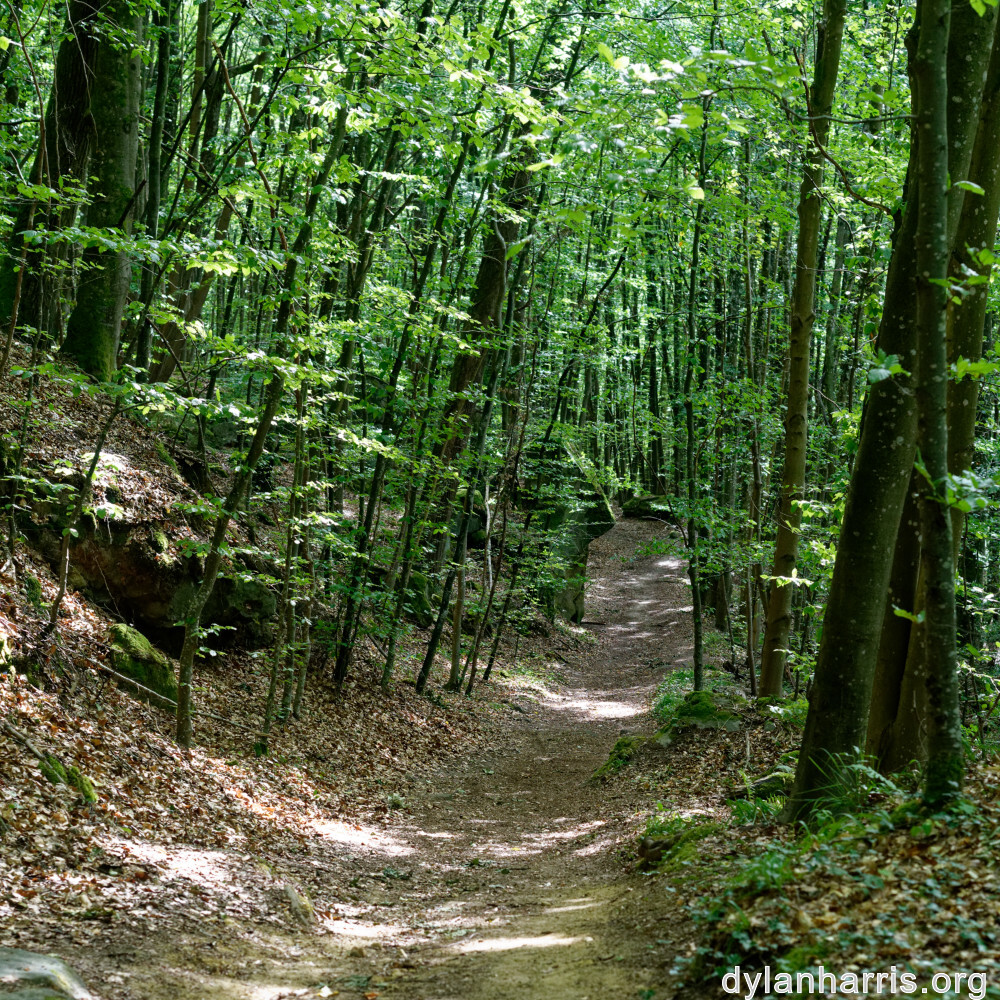 image: This is &lsquo;mullerthal (iv) 3&rsquo;.