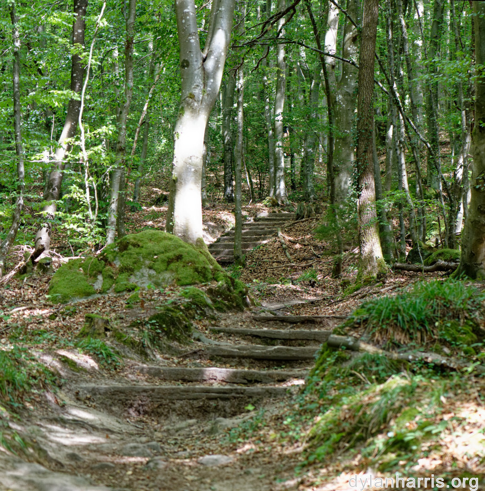 image: This is &lsquo;mullerthal (iv) 43&rsquo;.