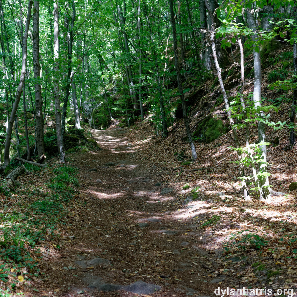 image: This is &lsquo;mullerthal (iv) 5&rsquo;.