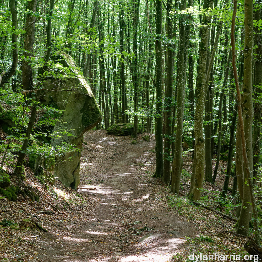 image: This is &lsquo;mullerthal (iv) 6&rsquo;.