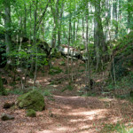 image: Image from the photoset &lsquo;mullerthal (iv)&rsquo;.