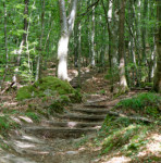 image: Image from the photoset &lsquo;mullerthal (iv)&rsquo;.