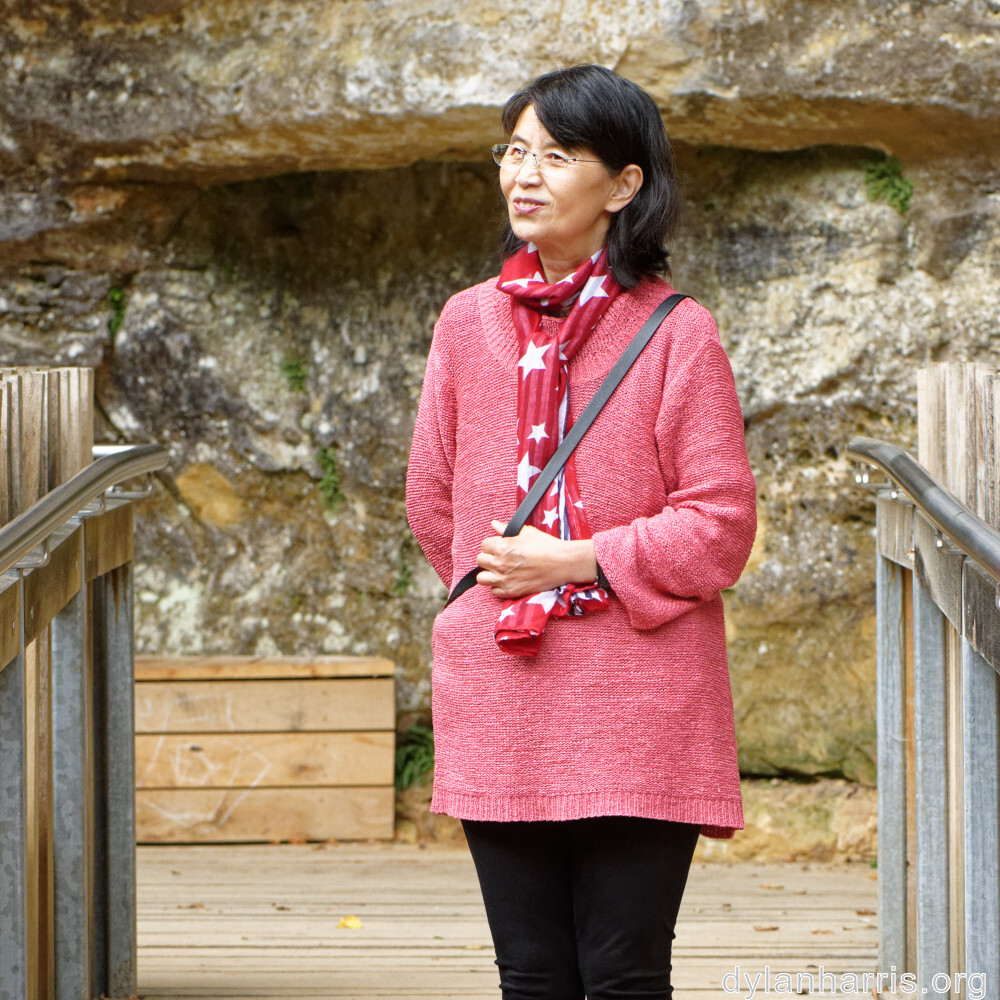 image: This is &lsquo;L (xli) 1&rsquo;.