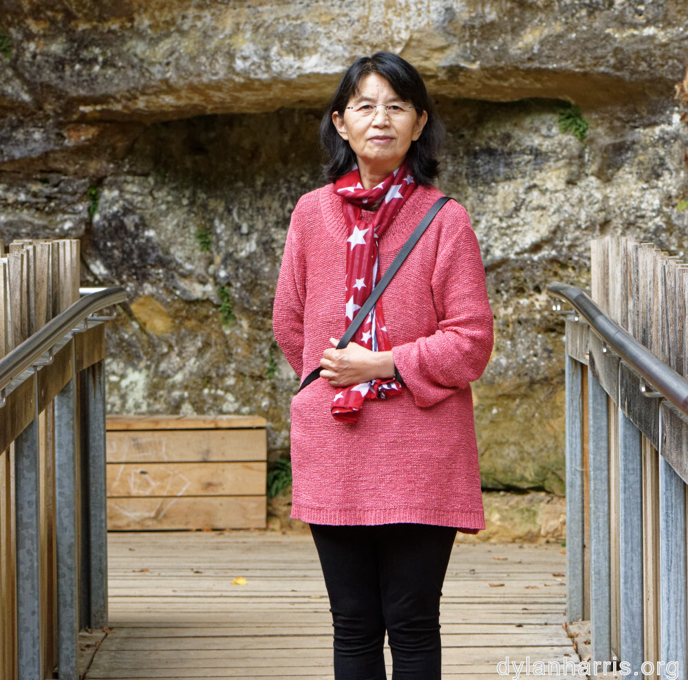 image: This is &lsquo;L (xli) 3&rsquo;.