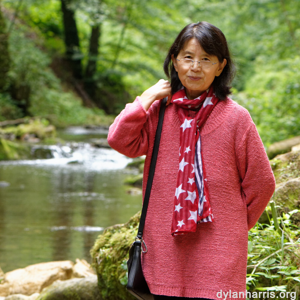 image: This is &lsquo;L (xli) 4&rsquo;.