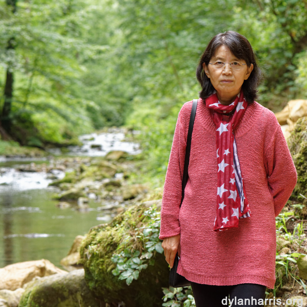 image: This is &lsquo;L (xli) 5&rsquo;.