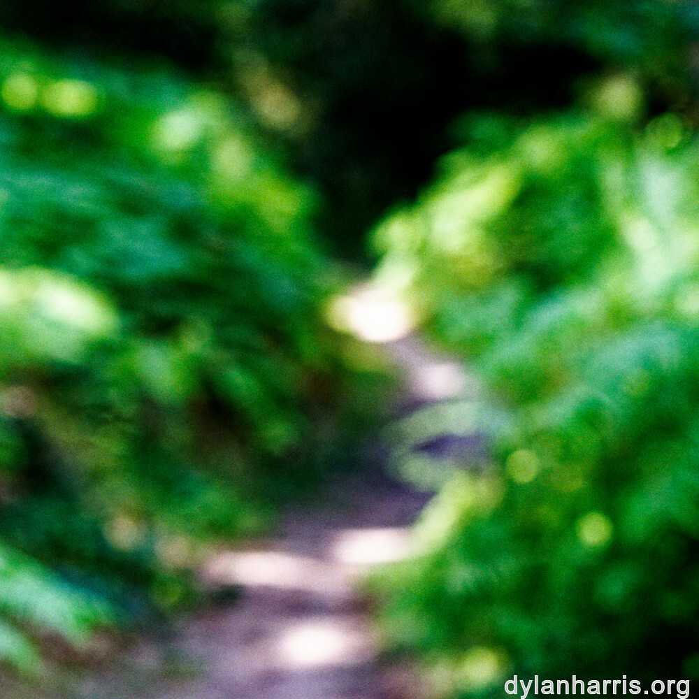 image: This is &lsquo;beaufort 4&rsquo;.