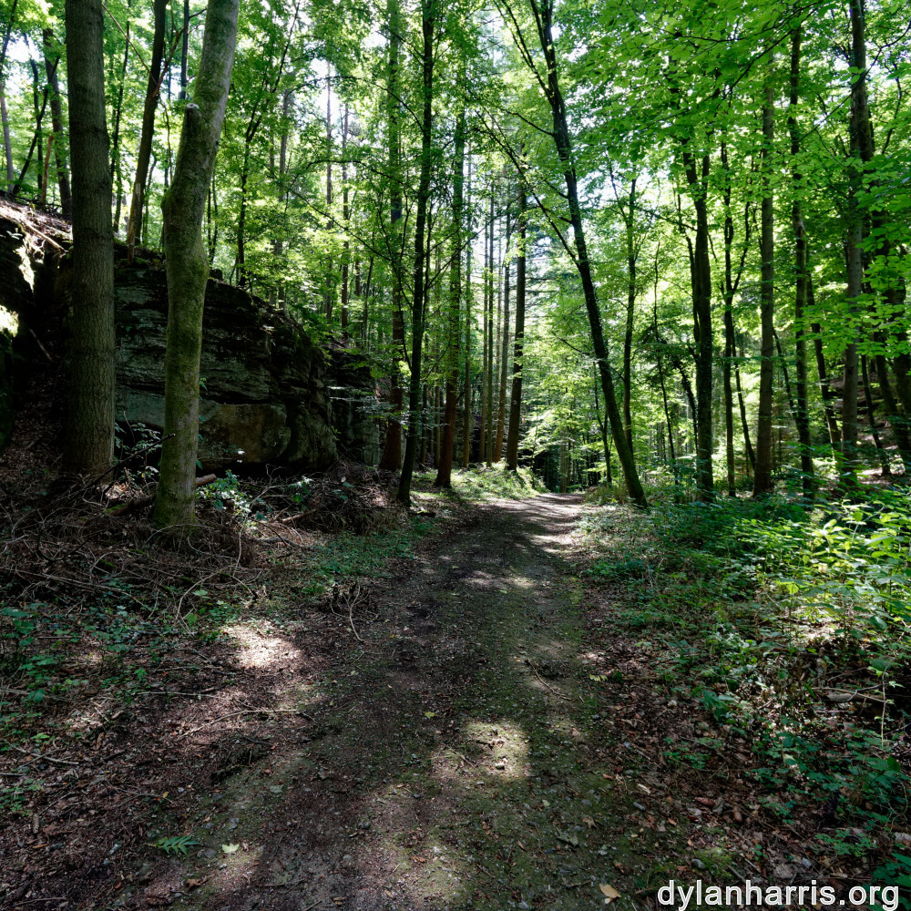 image: This is &lsquo;beaufort 1&rsquo;.