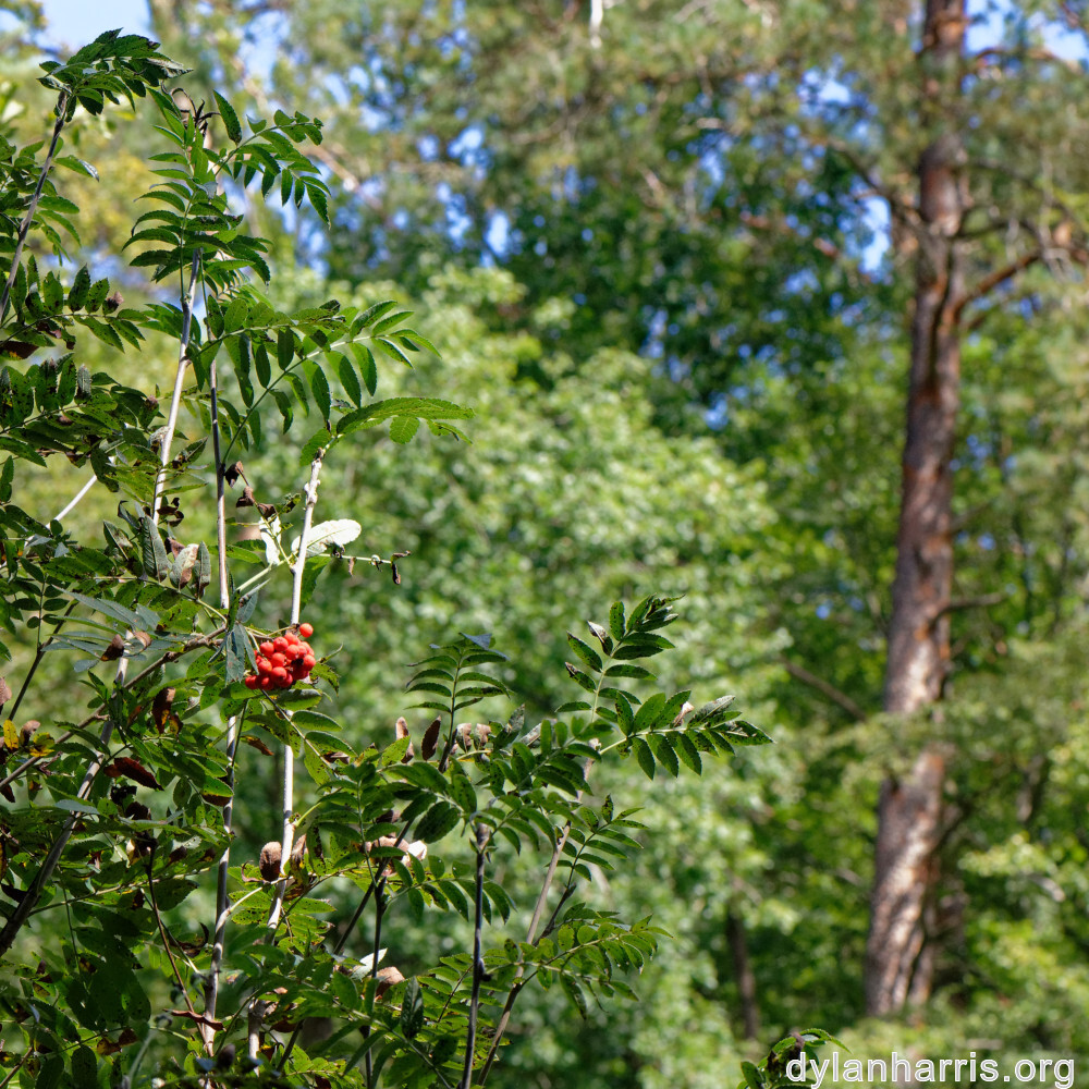 image: This is &lsquo;beaufort 4&rsquo;.