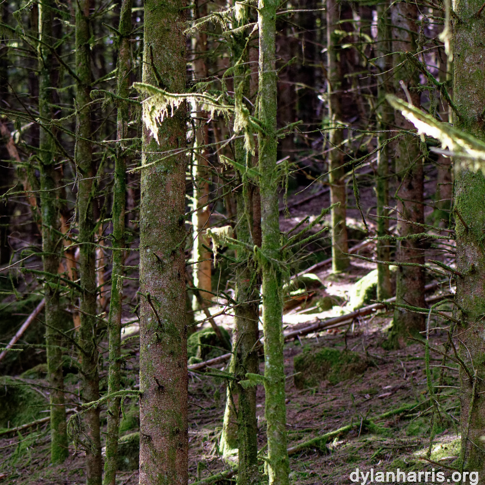 image: This is &lsquo;beaufort 5&rsquo;.