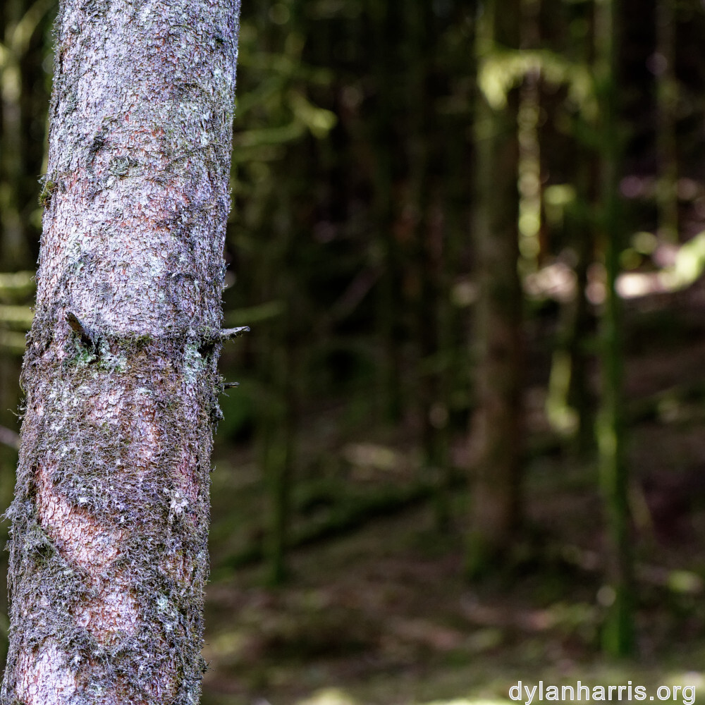 image: This is &lsquo;beaufort 6&rsquo;.