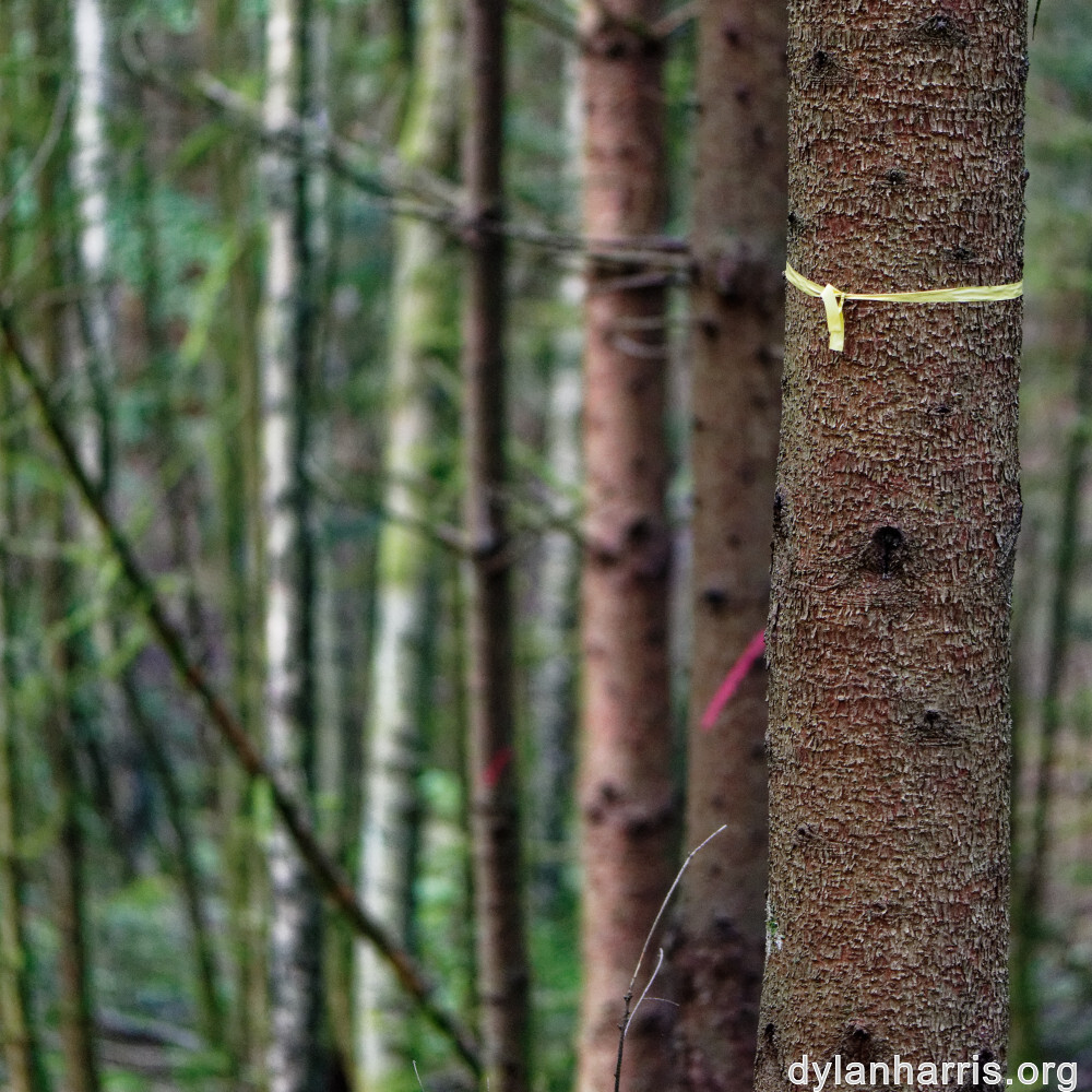 image: This is &lsquo;beaufort 7&rsquo;.