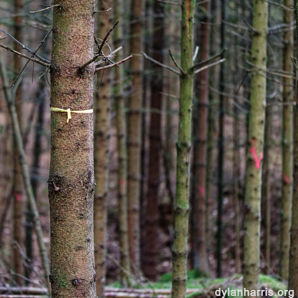 image: This is &lsquo;beaufort 8&rsquo;.