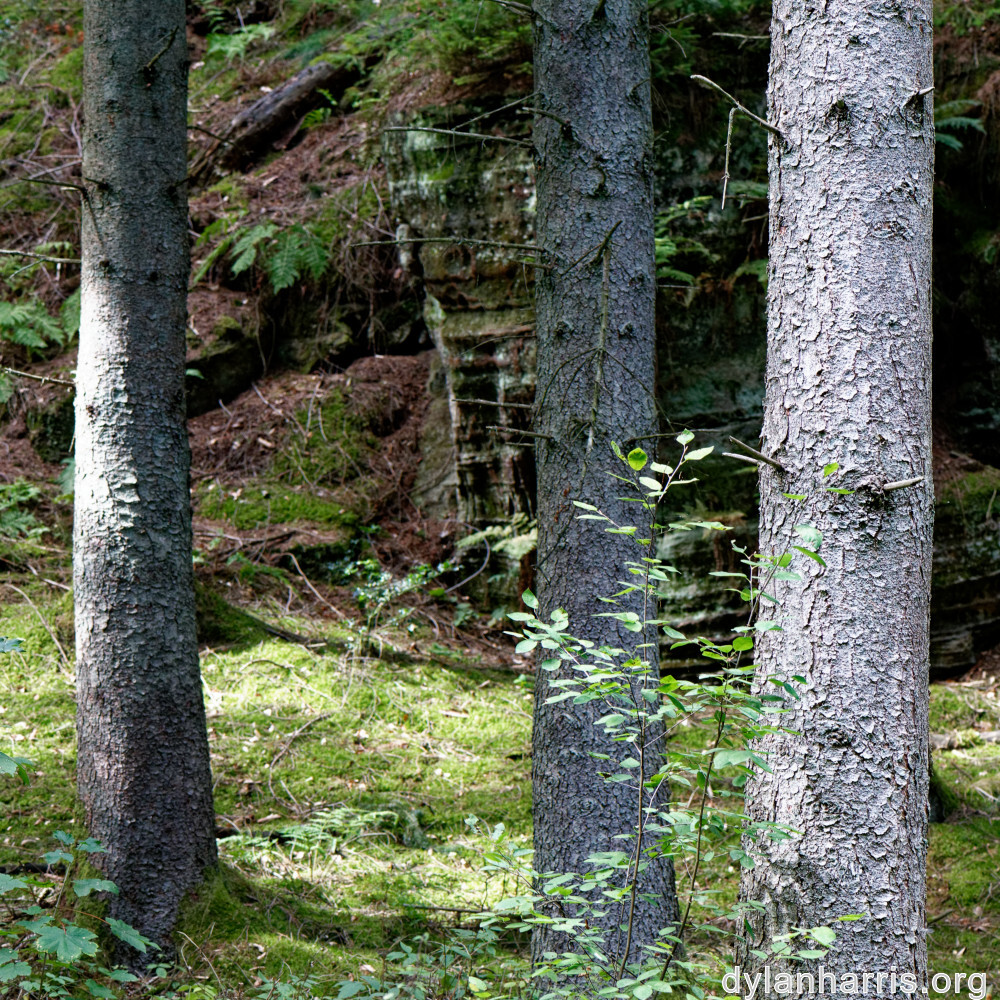 image: This is &lsquo;beaufort 9&rsquo;.