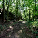 image: Image from the photoset &lsquo;beaufort (ii)&rsquo;.