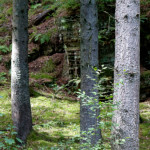 image: Image from the photoset &lsquo;beaufort (ii)&rsquo;.