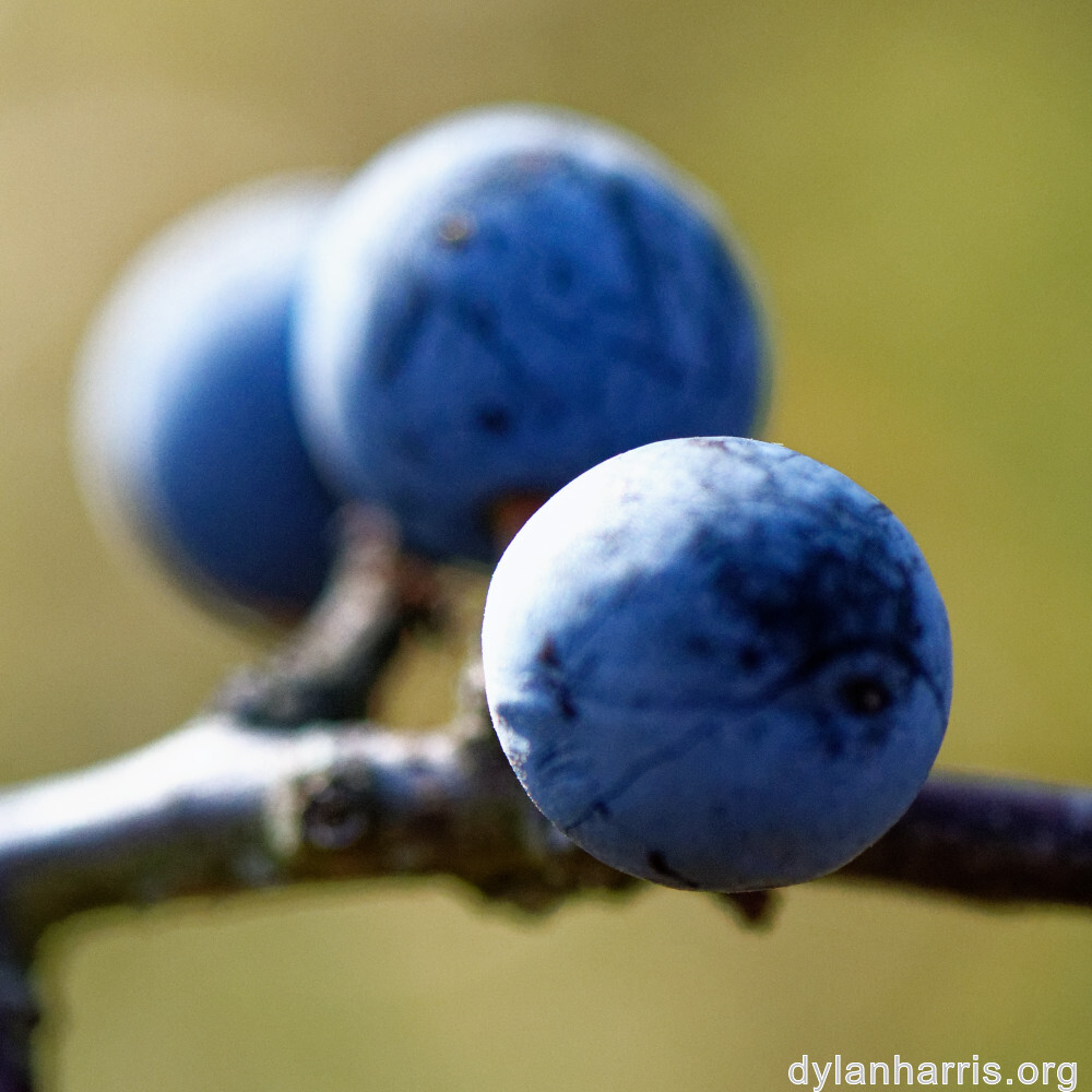 image: This is &lsquo;rumelange 2&rsquo;.