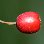 image: Image from the photoset &lsquo;rumelange (xvi)&rsquo;.