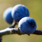 image: Image from the photoset &lsquo;rumelange (xvi)&rsquo;.